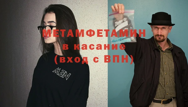 индика Гусев