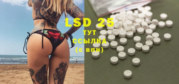 индика Гусев