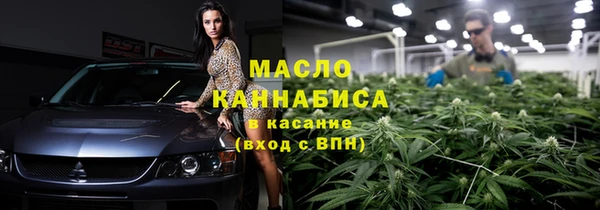 индика Гусев