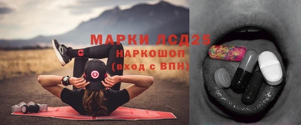 стаф Гусь-Хрустальный