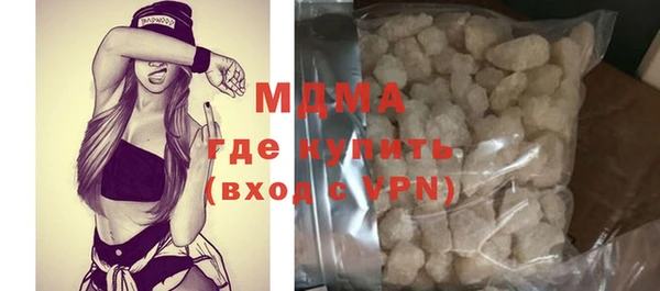 индика Гусев