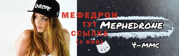 индика Гусев