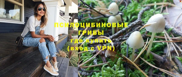 индика Гусев
