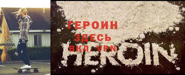 индика Гусев