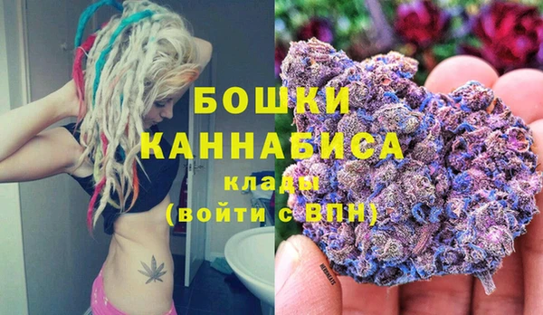 тгк Горно-Алтайск