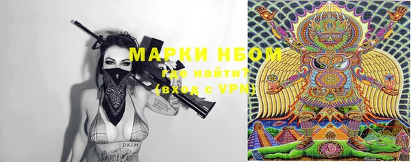 стаф Гусь-Хрустальный