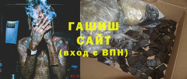 индика Гусев