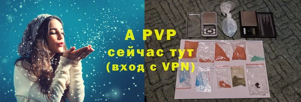 индика Гусев
